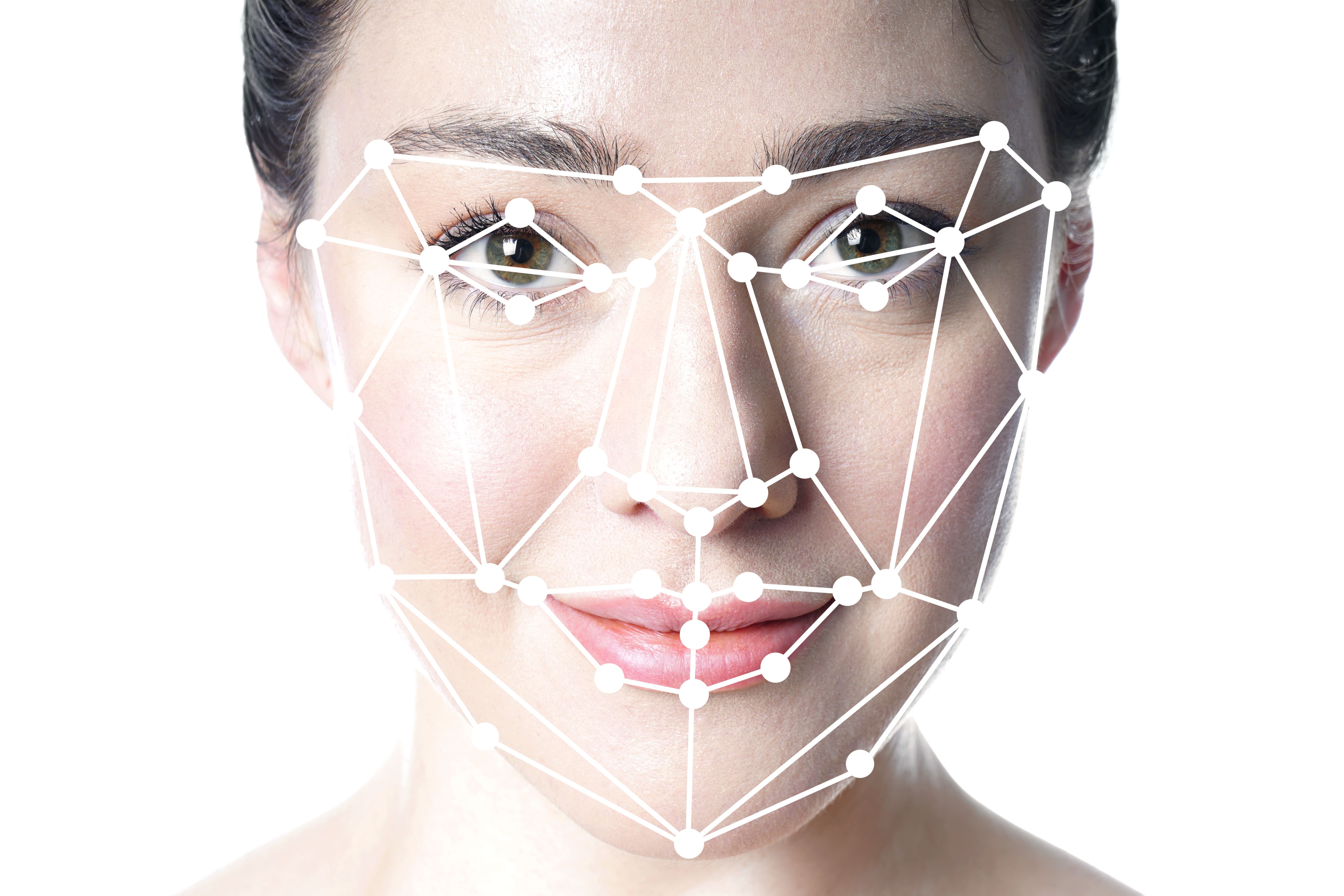 Facial recognition grid overlay